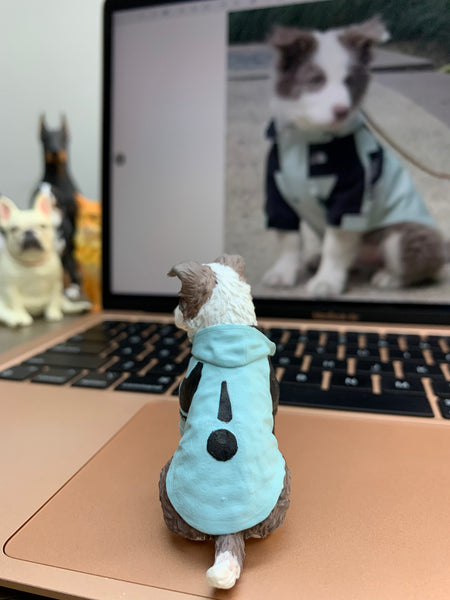 Custom Pet Figurine from Your Photos