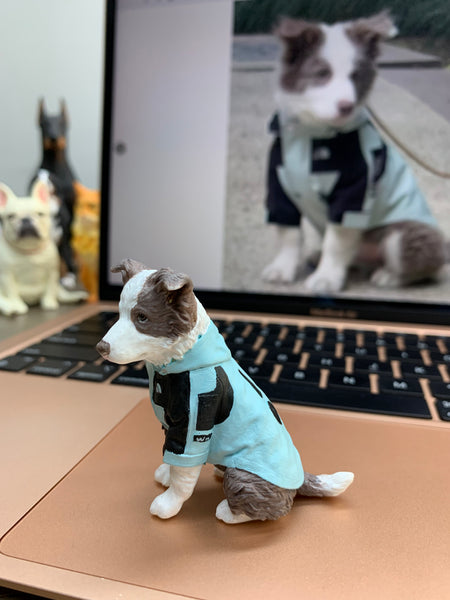 Custom Pet Figurine from Your Photos