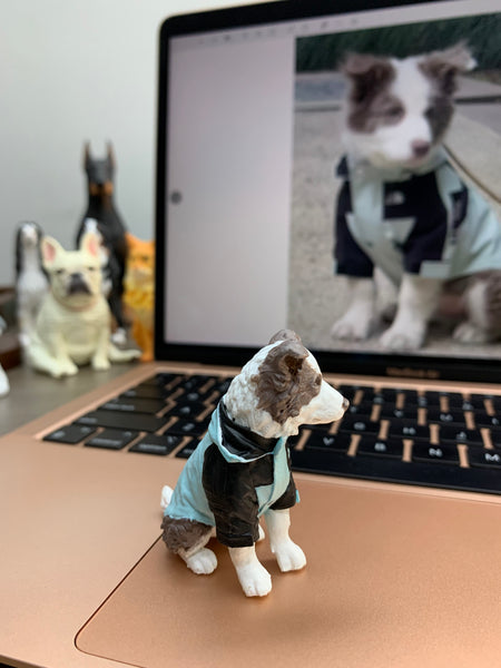 Custom Pet Figurine from Your Photos