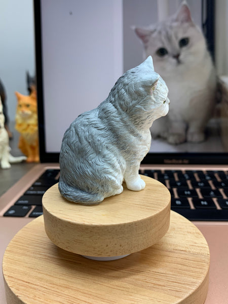 Custom Pet Figurine from Your Photos