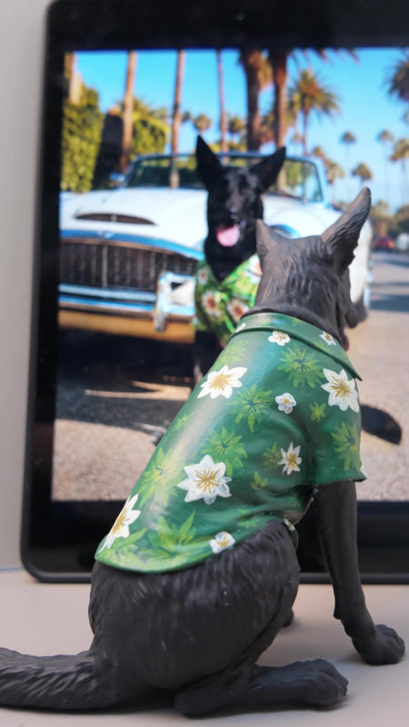 Custom Pet Figurine from Your Photos